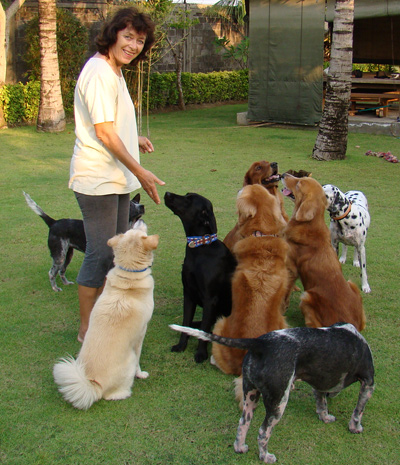 dog-training