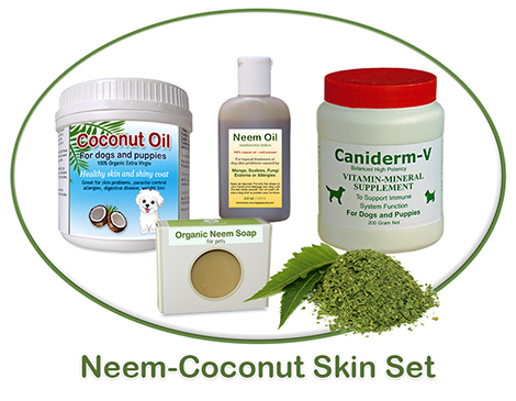 neem coconut skin treatment